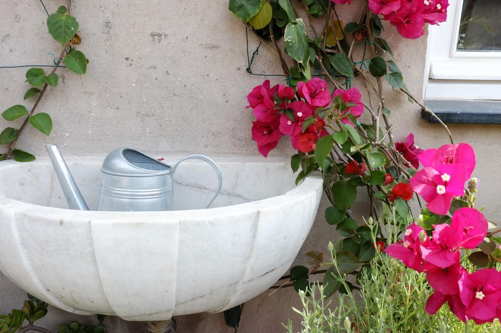 La Terrazza Di Vico Olivi B&B Ventimiglia Exterior foto